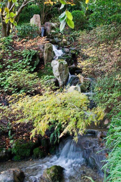 0042Jardin A Kahn.jpg - SONY DSC